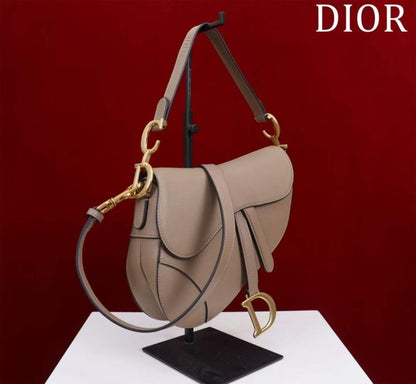 Dior Saddle Bag BG02378