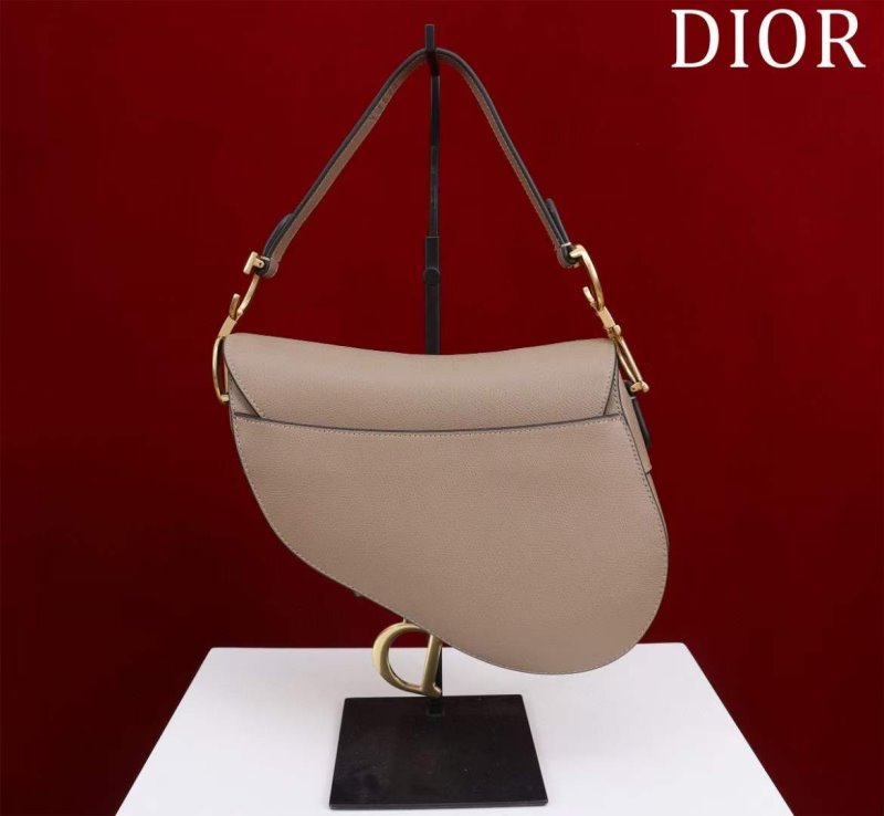 Dior Saddle Bag BG02378