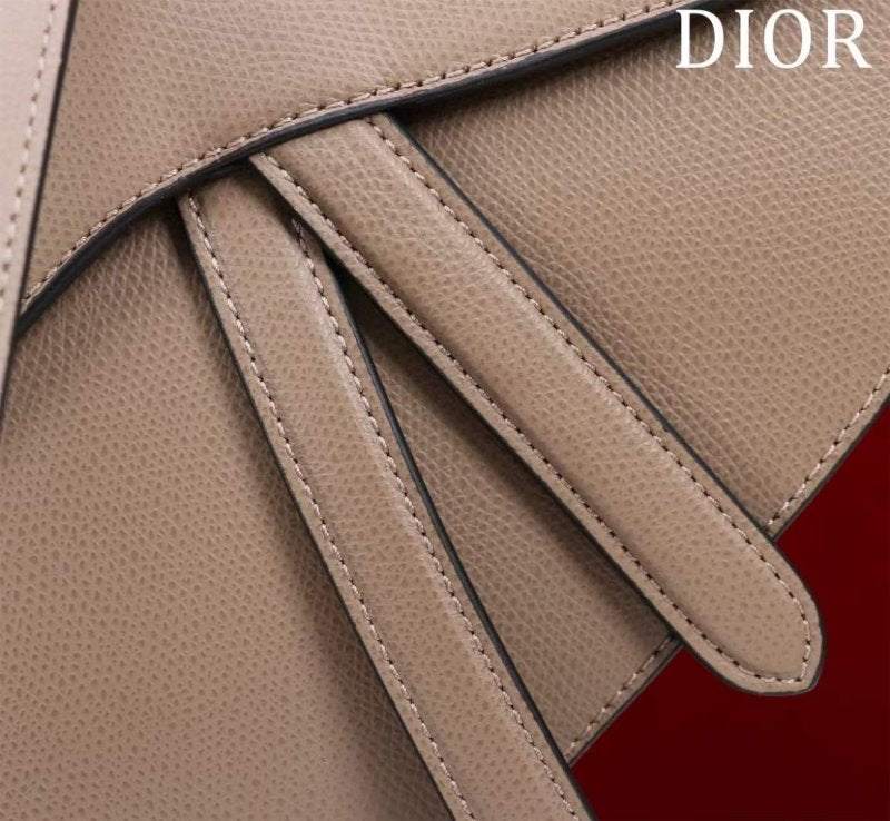 Dior Saddle Bag BG02378