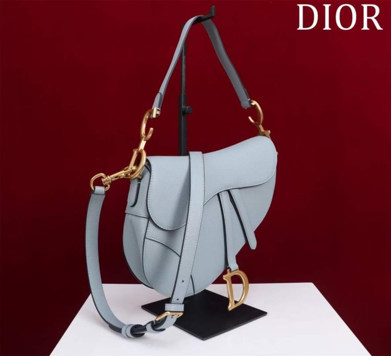 Dior Saddle Bag BG02379