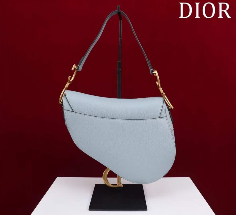 Dior Saddle Bag BG02379