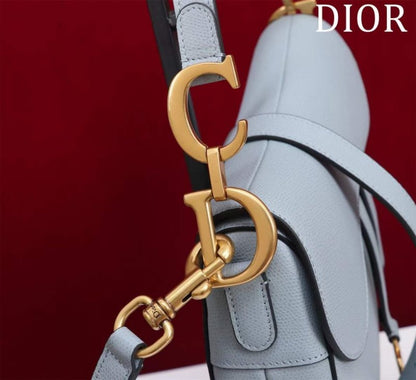 Dior Saddle Bag BG02379