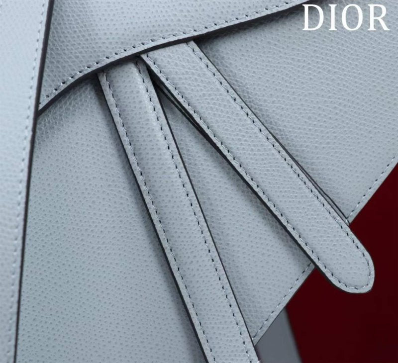 Dior Saddle Bag BG02379