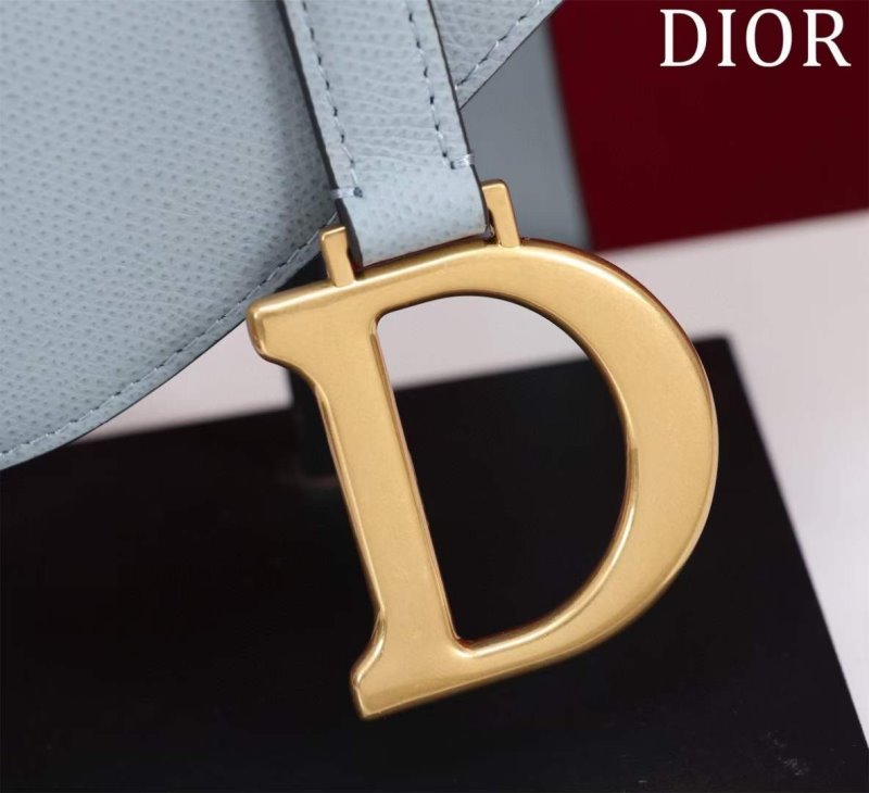 Dior Saddle Bag BG02379