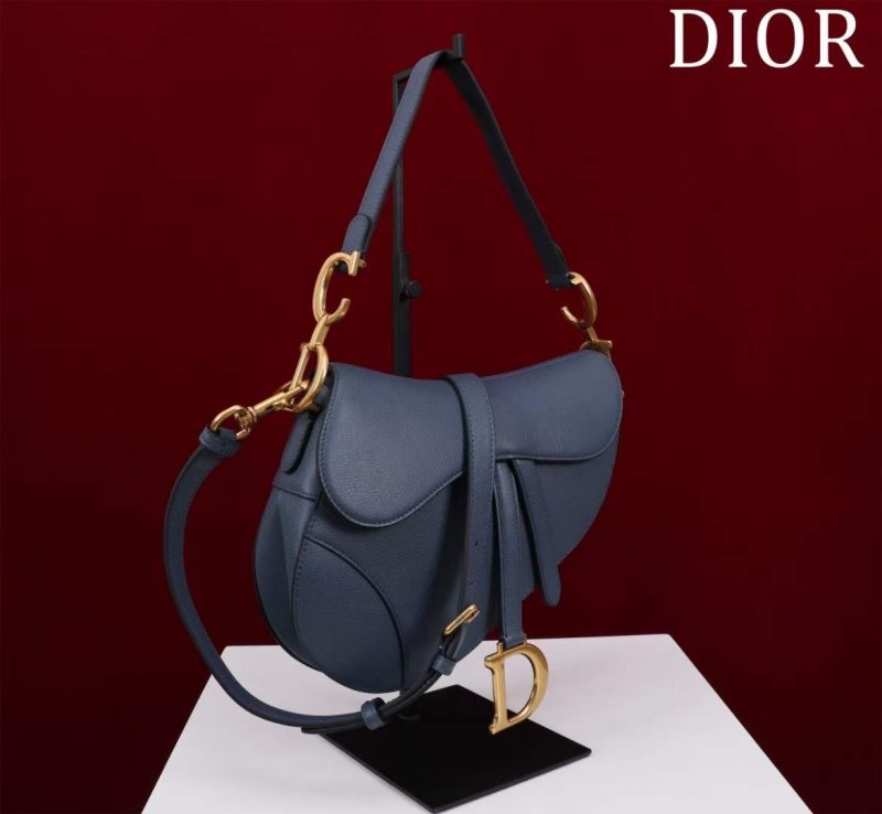 Dior Saddle Bag BG02380