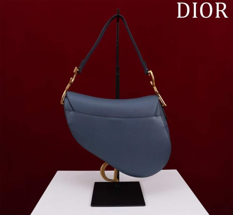 Dior Saddle Bag BG02380