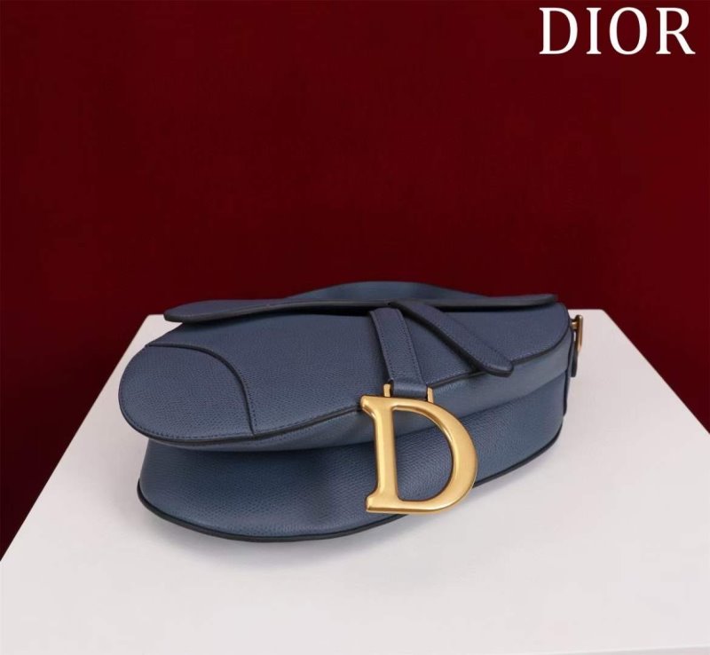 Dior Saddle Bag BG02380