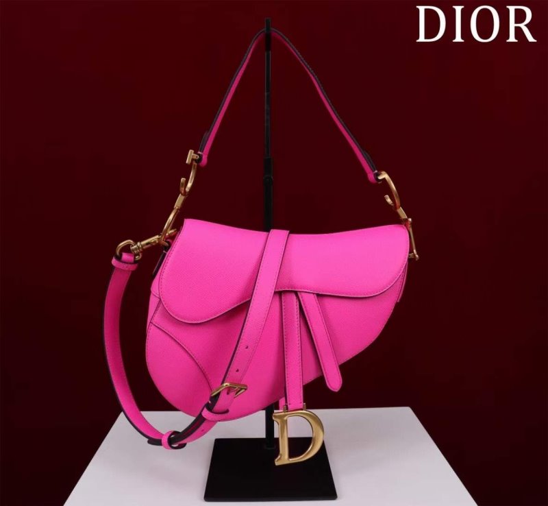 Dior Saddle Bag BG02381