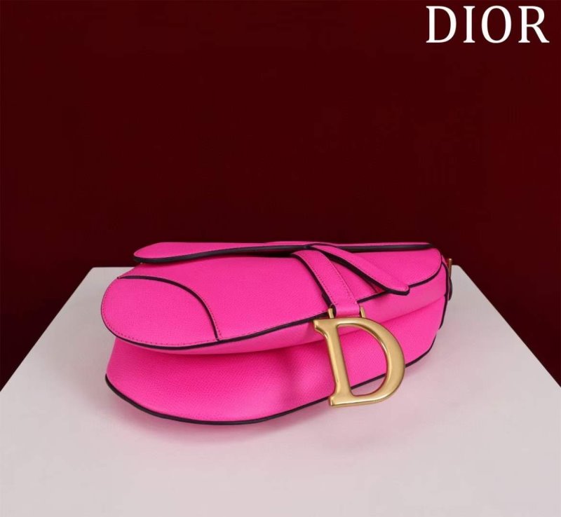 Dior Saddle Bag BG02381