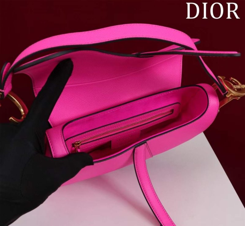 Dior Saddle Bag BG02381