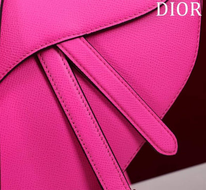 Dior Saddle Bag BG02381