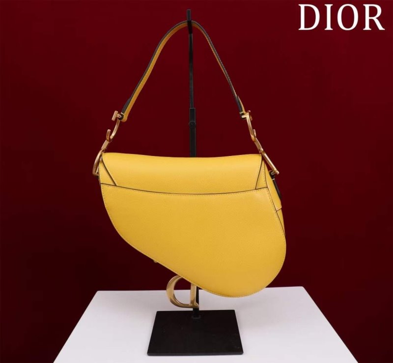 Dior Saddle Bag BG02382