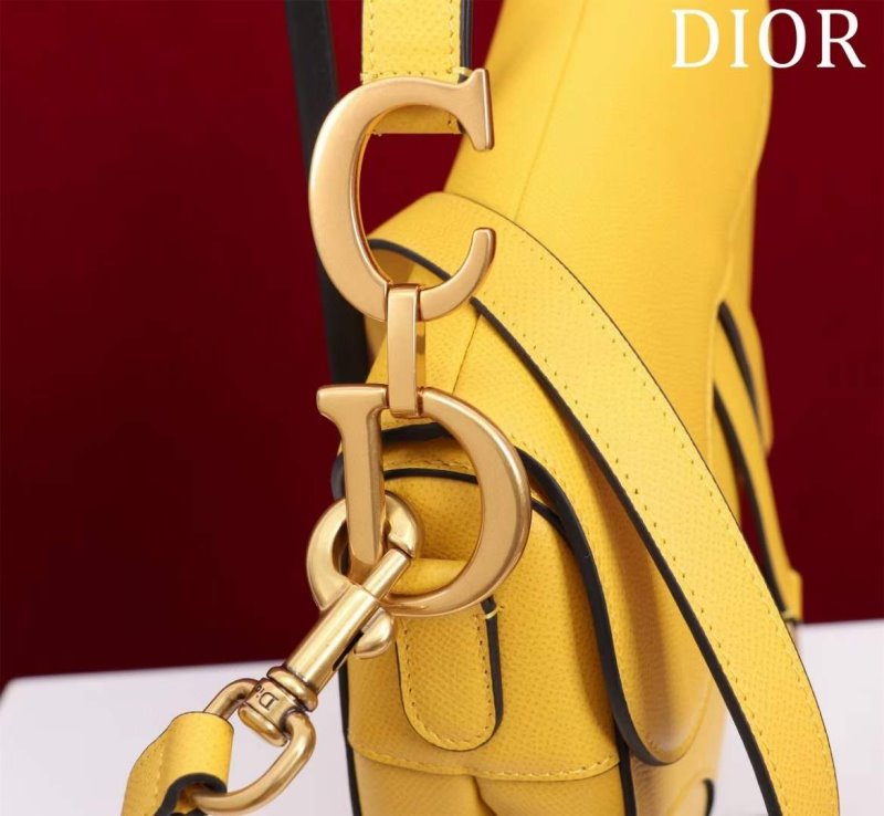 Dior Saddle Bag BG02382