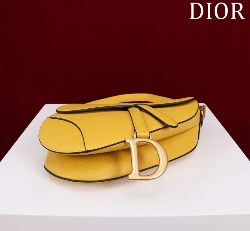 Dior Saddle Bag BG02382