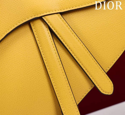 Dior Saddle Bag BG02382