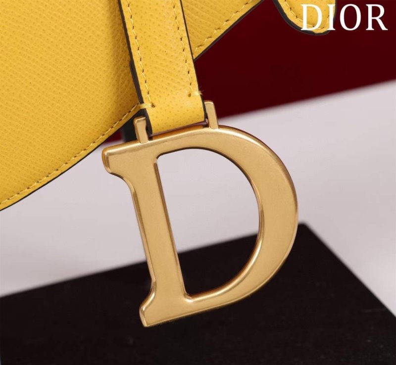 Dior Saddle Bag BG02382