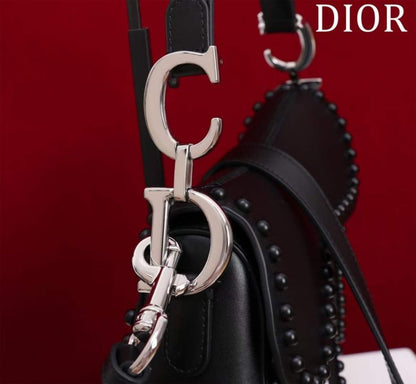 Dior Saddle Bag BG02385