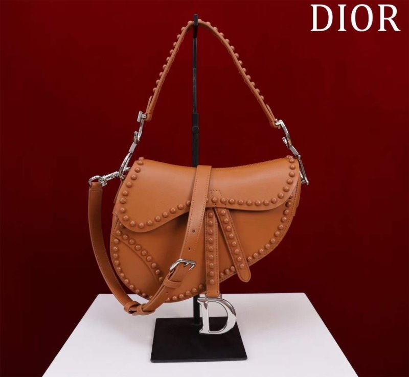 Dior Saddle Bag BG02386