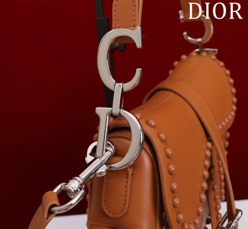 Dior Saddle Bag BG02386