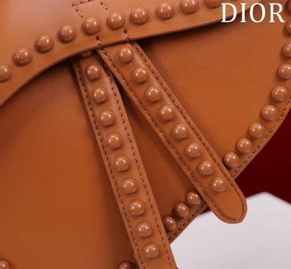 Dior Saddle Bag BG02386