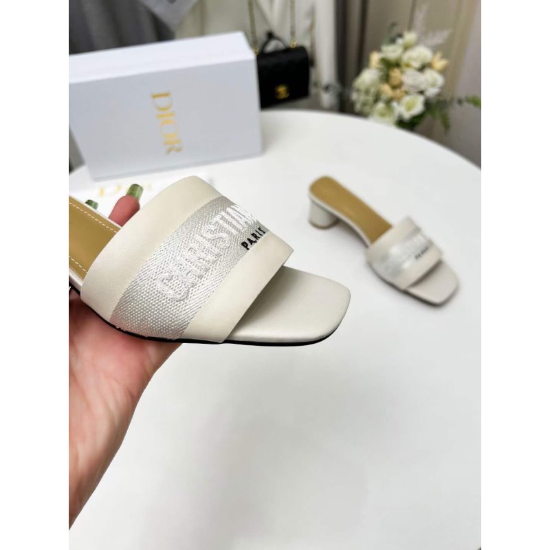 Dior Summer Slippers SH010677