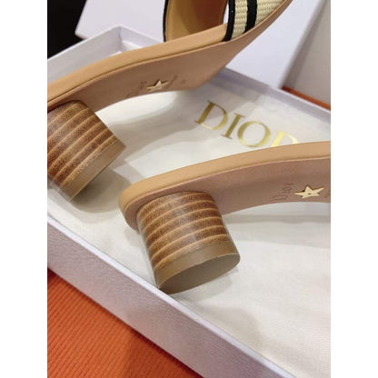 Dior Summer Slippers SH011047