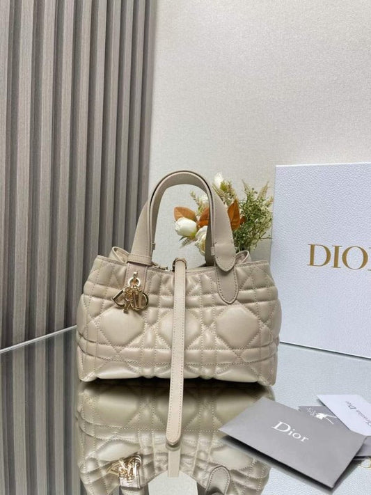 Dior Tojour Hand Bag BG02349