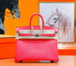 Hermes Birkin Bag BG02490