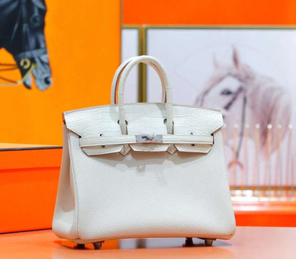 Hermes Birkin Bag BG02496