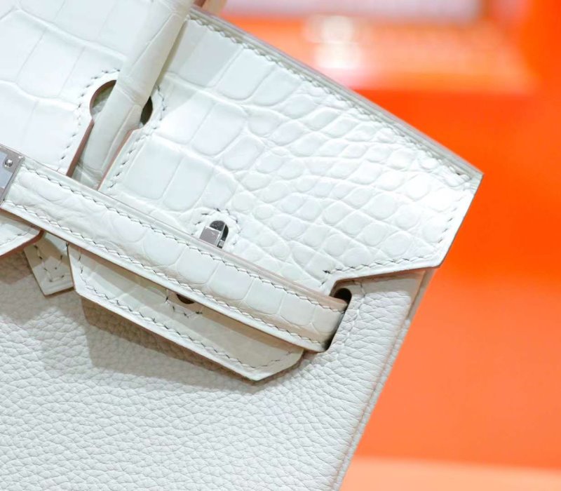 Hermes Birkin Bag BG02496