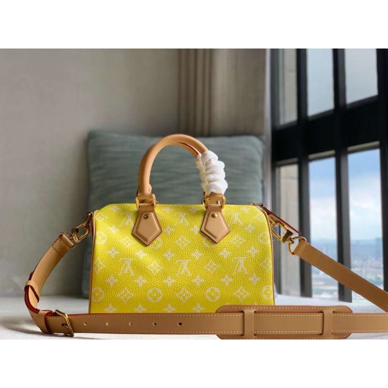 Louis Vuitton Speedy Hand Bag BG030504