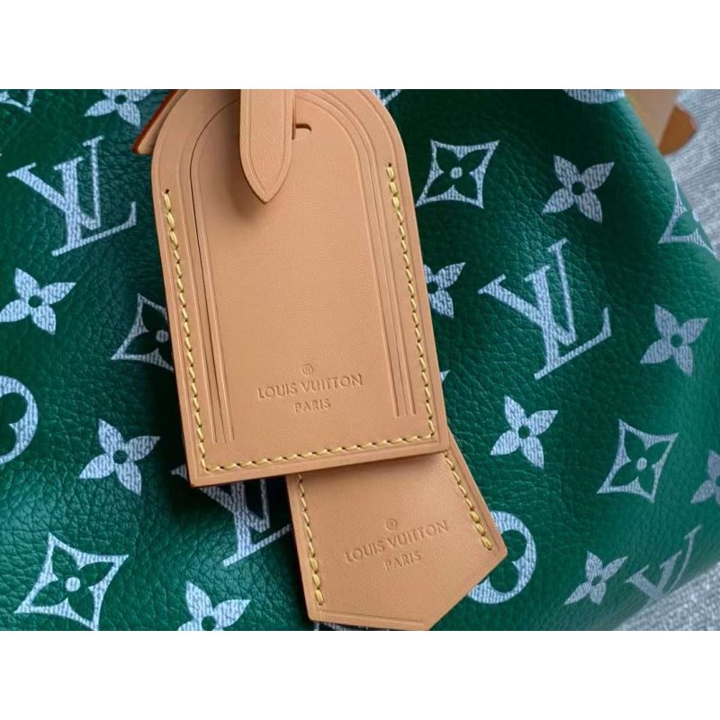Louis Vuitton Speedy Hand Bag BG030505