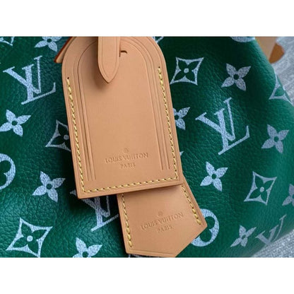 Louis Vuitton Speedy Hand Bag BG030505