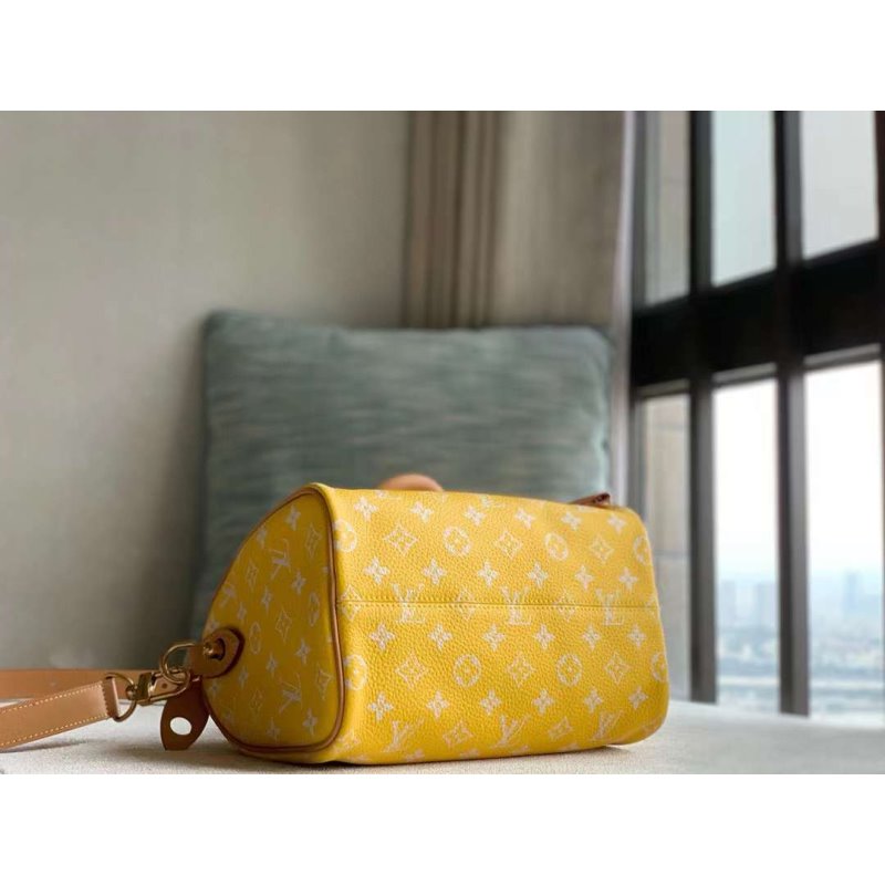 Louis Vuitton Speedy Hand Bag BG030508