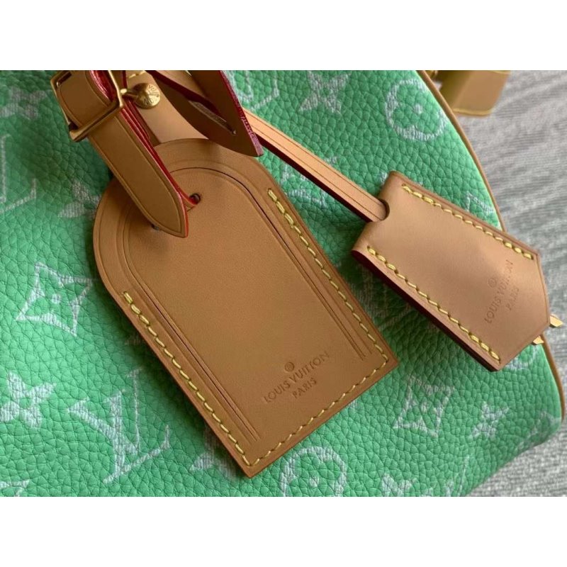 Louis Vuitton Speedy Hand Bag BG030510