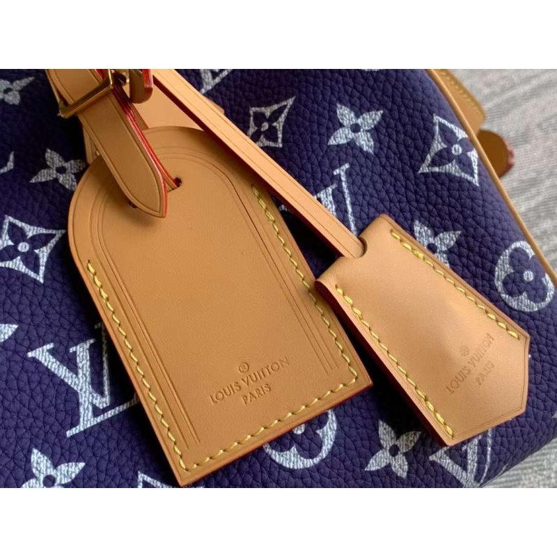 Louis Vuitton Speedy Hand Bag BG030512