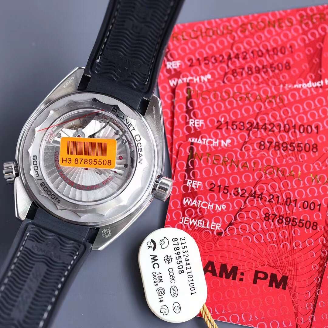 Omega Ocean Universe 600 Wrist Watch WAT02050