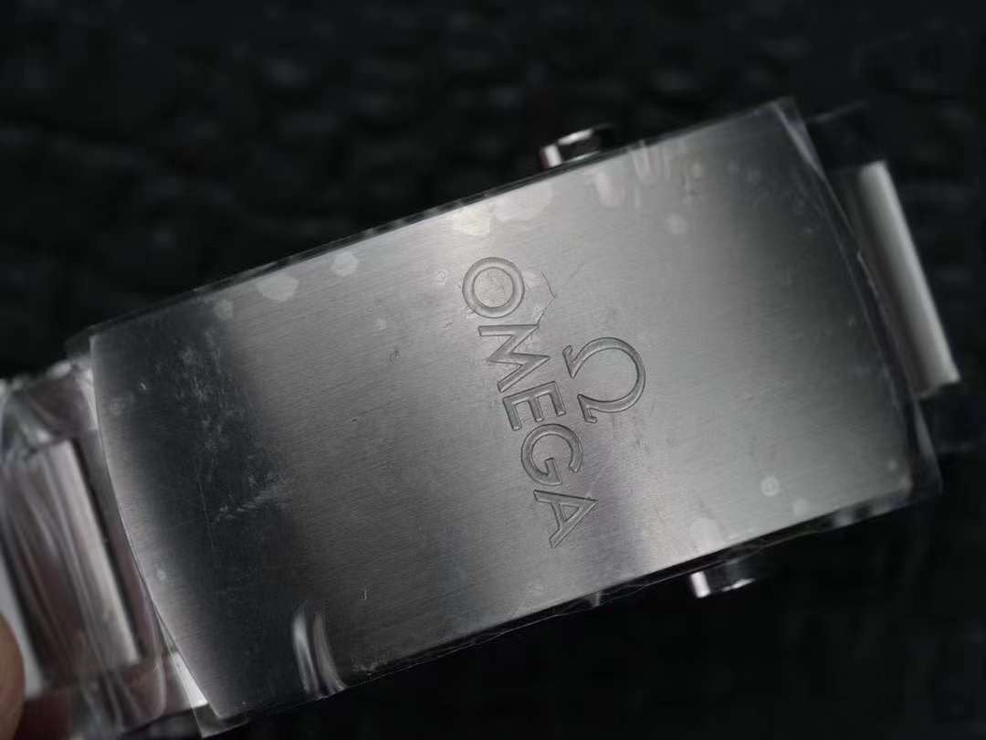 Omega Seahorse 300 Series Wrist Watch WAT02056