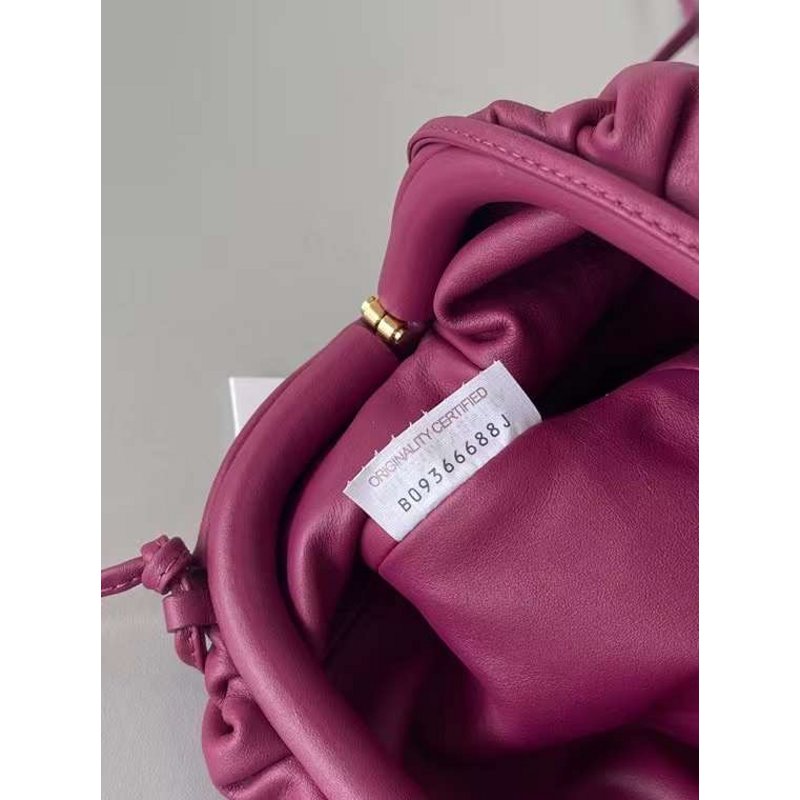 Bottega Veneta The Pouch Cloud Bag Bag BGMP1888