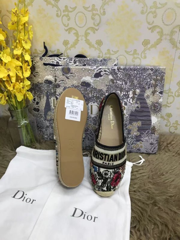 Dior Gray Shoes SHS02532