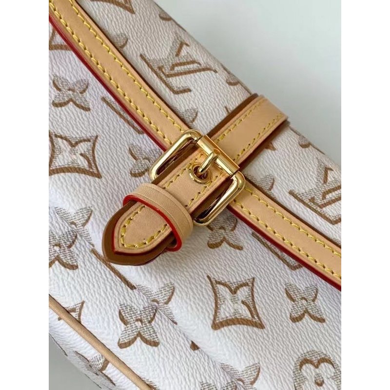 Louis Vuitton Maxi Multi Pochette HandBag BLV00800